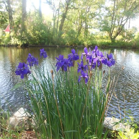 The Pond House Inn Elizabeth City Buitenkant foto