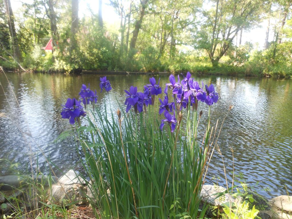 The Pond House Inn Elizabeth City Buitenkant foto