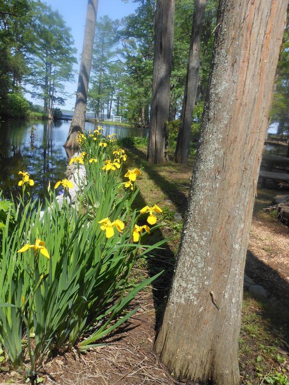 The Pond House Inn Elizabeth City Buitenkant foto
