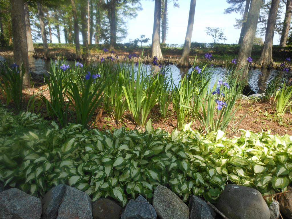 The Pond House Inn Elizabeth City Buitenkant foto